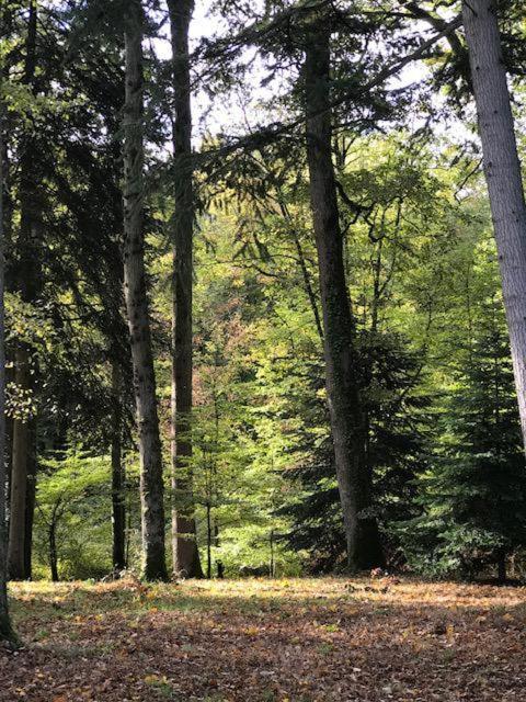 Domaine De La Vaudouriere Villa Lunay Buitenkant foto
