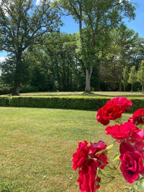 Domaine De La Vaudouriere Villa Lunay Kamer foto