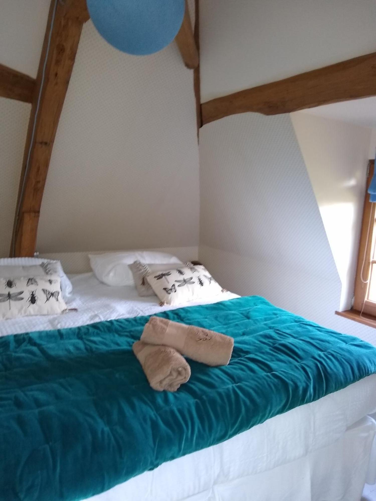 Domaine De La Vaudouriere Villa Lunay Kamer foto