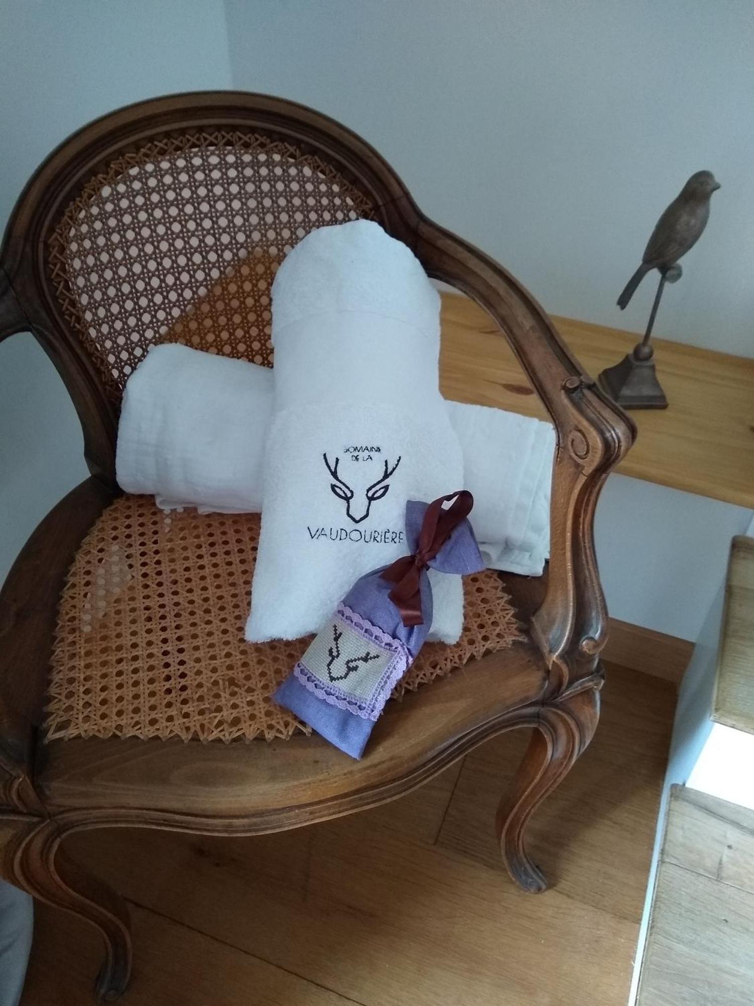Domaine De La Vaudouriere Villa Lunay Kamer foto
